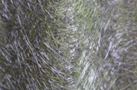 Saddell fibreglass roof work